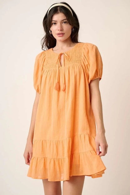 Tassel Tie Plaid Gauze Short Sleeve Mini Dress - Eva's Edition