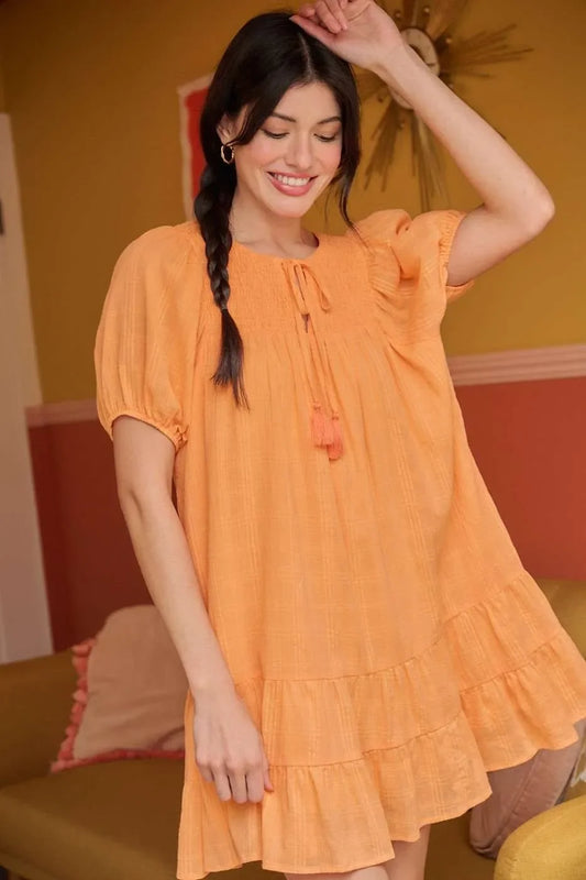 Tassel Tie Plaid Gauze Short Sleeve Mini Dress - Eva's Edition