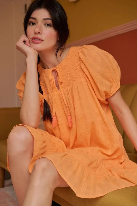 Tassel Tie Plaid Gauze Short Sleeve Mini Dress - Eva's Edition